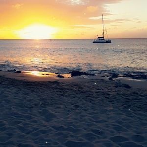 Meet your Posher, Tisha